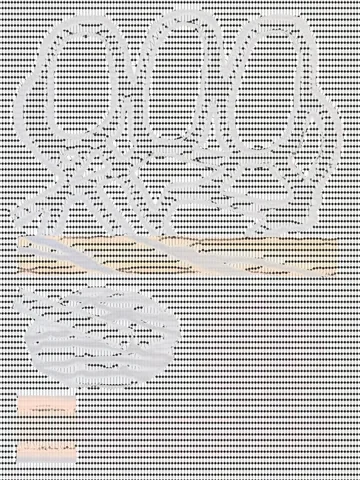 Image Halftones — Desktop HTML, image 1
